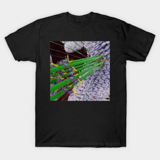 Microtubules During Mitosis T-Shirt